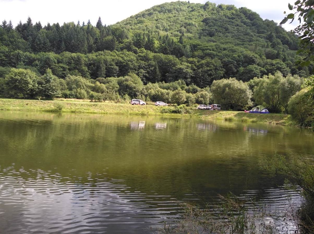 Дома для отпуска Guest House Pisnya Karpat Сколе
