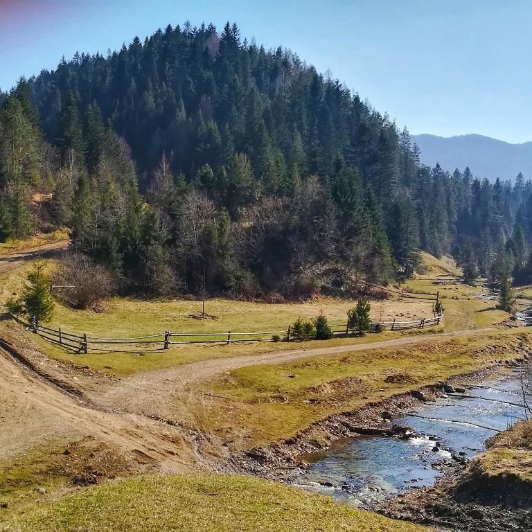 Дома для отпуска Guest House Pisnya Karpat Сколе