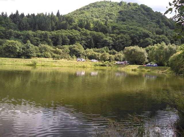 Дома для отпуска Guest House Pisnya Karpat Сколе-37