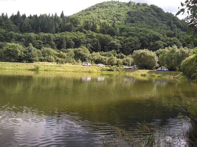 Дома для отпуска Guest House Pisnya Karpat Сколе-68